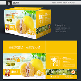 柚子包装