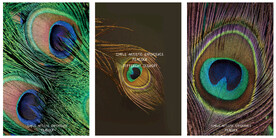 晶瓷画 抽象画 孔雀翎