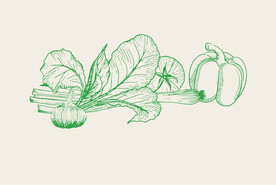 绿色蔬菜矢量线稿手绘素材