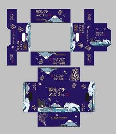 葡萄包装展开图