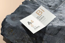 双折页样机