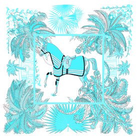 大牌  方巾  爱马仕