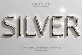 精致闪亮银色金属特效字