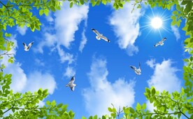 蓝天白云绿叶鸽子