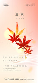 红叶立秋微信海报
