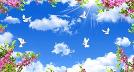 蓝天白云鸽子