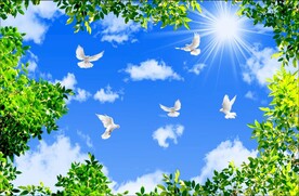 蓝天白云绿叶鸽子