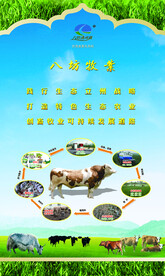 高原畜牧生态牧业肉牛养殖灯箱