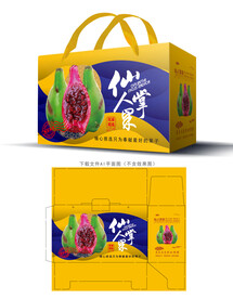 仙人掌果包装