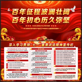 建党100周年讲话精神