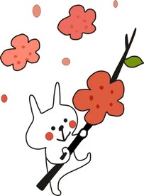 兔子送花