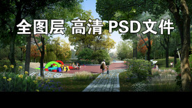 树林林荫活动场地