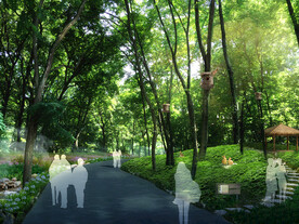 树林绿道景观效果图