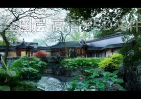 古建荷花塘雨景