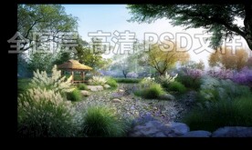 旱溪芦苇景观草