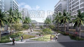 南方景观草绿化