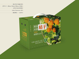 桔子包装设计 平面图