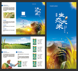 五常大米促销宣传三折页