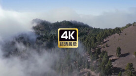 航拍远山云雾丛林美景