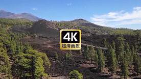 航拍远山树林公路美景