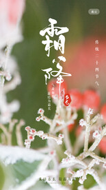 霜降海报启动页