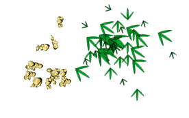 假山竹子高清彩平素材PSD