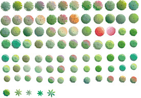 植物平面高清彩平素材PSD