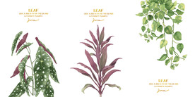 装饰画 晶瓷画 植物