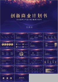 高端大气商业计划书PPT