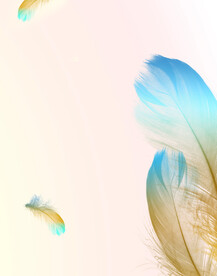 装饰画 晶瓷画 羽毛