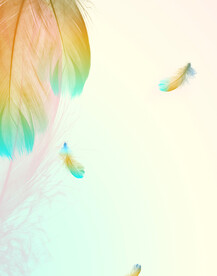 装饰画 晶瓷画 羽毛