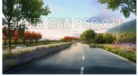 海绵城市生态道路绿化