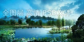 湿地荷花塘清晨