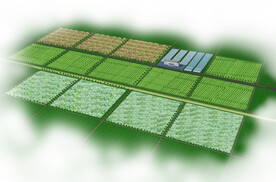 农业综合开发区效果图