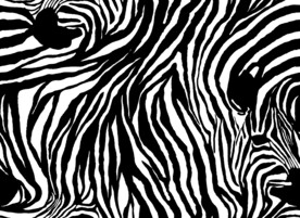 斑马纹