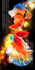 时尚轻奢斗鱼孔雀鱼玄关装饰画