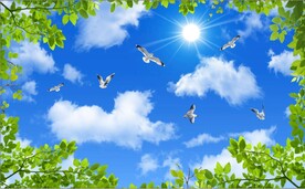 蓝天白云绿叶鸽子