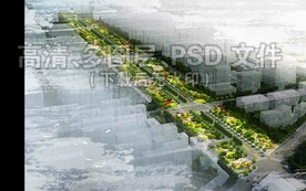 道路公园高端绿化