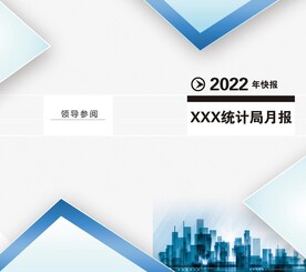 统计局画册封面设计