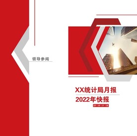 统计局画册封面设计