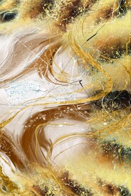 高端油画