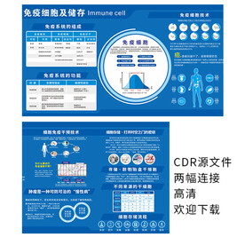 医学 免疫细胞 NK细胞 