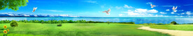 巨幅蓝天白云草地