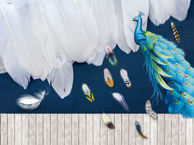 装饰画 晶瓷画 羽毛 孔雀