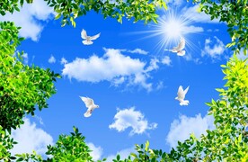 蓝天白云绿叶鸽子