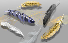 装饰画 晶瓷画 羽毛