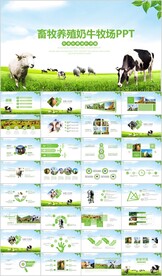 草原畜牧业奶牛养殖乳业PPT