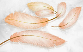 装饰画 晶瓷画 羽毛