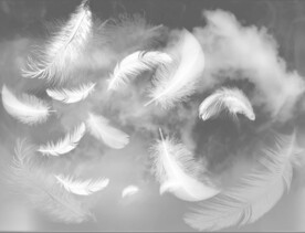 装饰画 晶瓷画 羽毛