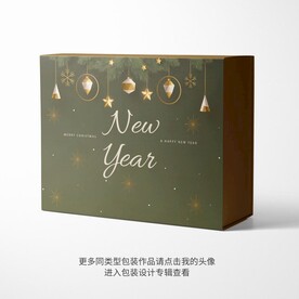 圣诞新年礼品盒带层平面图